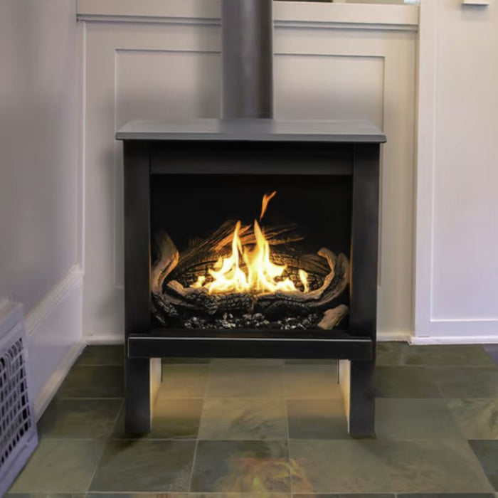 True North TN24 Gas Stove