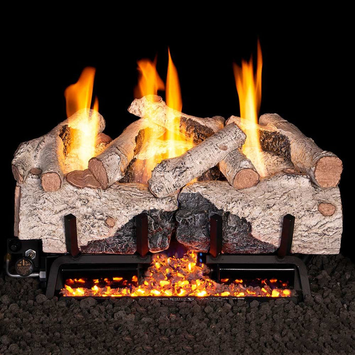 Real Fyre Charred Alpine Birch Vent-Free G10 Series Gas Log Set